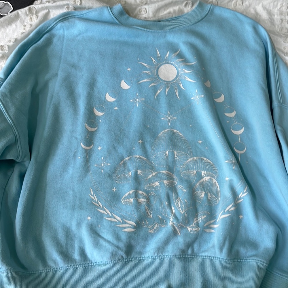 PacSun Mushroom Pullover- S